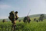 Israeli Defense Forces soldiers walking in a field